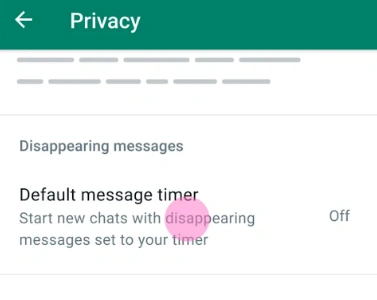 GBWhatsApp Disappearing Messages Settings